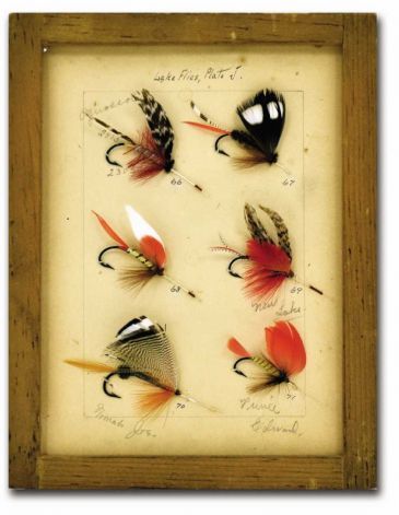 fly display Fly Fishing Decor, Largemouth Bass Fishing, Tattoo Diy, Fish Lure, Fly Fishing Gifts, Fishing Room, Bamboo Fly Rod, Different Fish, Shiny Brite Ornaments