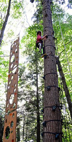 Smugglers Notch Vermont, Backyard Obstacle Course, Tree Climbing, Ropes Course, Outdoor Play Area, Natural Playground, Summer Crafts For Kids, Outdoor Gym, Backyard Playground