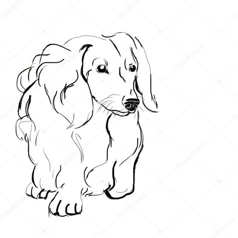 Dachshund Tattoo Ideas, Dachshund Sketch, Dogs Coloring Pages, Dachshund Drawing, Sketch Dog, Dachshund Tattoo, Dachshund Art, Long Haired Dachshund, Dog Coloring Page