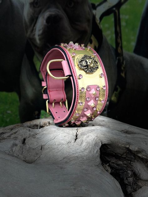 Leather Engraved, Engraved Dog Collar, Dog Collar With Name, Steel Accessories, Custom Dog Collars, Handmade Dog Collars, Stainless Steel Accessories, Shoe Polish, Metal Accessories