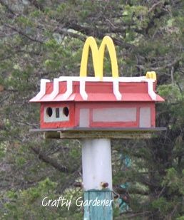 Birdhouse City - Crafty Gardener.ca.  Too funny  - and we all know how much birds love those fries! Birdhouse City, Funny Birdhouses, Unique Birdhouses, Fun Places To Visit, Cool Bird Houses, Painted Birdhouses, Birdhouse Projects, Birdhouse Ideas, Birdhouses Bird Feeders