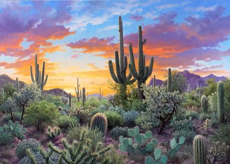 Stephen Morath, Arizona Mural, Desert Landscape Painting, Desert Pictures, Arizona Landscape, Mural Ideas, Arizona Desert, Acrylic Painting Tips, Winter Sunset