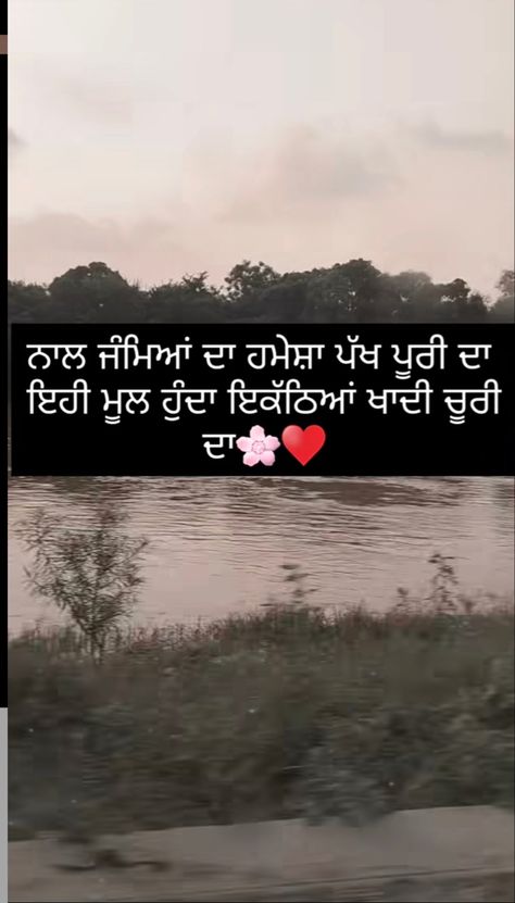 Punjabi Captions, Punjabi Thoughts, Brother Birthday Quotes, Body Chart, Family Love Quotes, Cheer Up Quotes, Brother Sister Quotes, Tiny Quotes, Punjabi Love Quotes