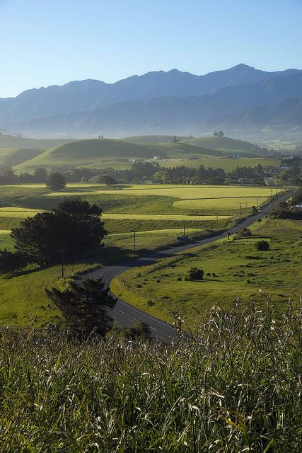 Kaikoura, New Zealand Oh how I want to go here! Manual Driving, Nz South Island, Canterbury New Zealand, New Zealand Landscape, Visit New Zealand, New Zealand South Island, New Zealand Travel, South Island, Pretty Places