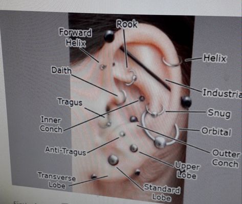 Ear Piercing Pain Chart, Piercing Pain Chart, Pain Chart, Ear Piercings Chart, Piercing Chart, Anti Tragus, Tragus Conch, Forward Helix, Ear Piercing