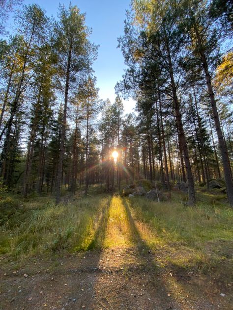 sweden autumn sun sunset scandinavia Sweden Autumn, Morning Weather, Autumn Sun, Scandinavia, Sweden, Good Morning, Sun, Writing, Travel