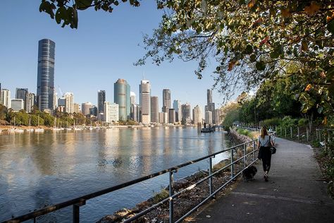 Kangaroo Point River Walk Or Cycle | Must Do Brisbane Kangaroo Point Brisbane, Brisbane River, Random Photography, River Life, South Bank, River Walk, Cool Cafe, Forest Park, Walking Trails