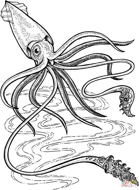 giant-squid-coloring-page.gif (1089×1484) Squid Drawing, Colossal Squid, Octopus Tattoo Sleeve, Squid Tattoo, Whale Coloring Pages, Octopus Tattoo Design, Giant Squid, Fauna Marina, 4 Tattoo