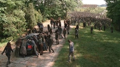 Walker hoard Walking Dead Gif, Zombie Apocalypse Outfit, Apocalypse Aesthetic, Walking Dead Zombies, Zombie Attack, Talking To The Dead, Dead Zombie, Fear The Walking Dead, Watch Tv Shows