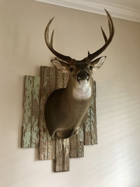 Ladies.. I never would have thought I would be the one to hang deer in my living room but I’m actually loving the way my DIY farmhouse inspired mount came out. We repurposed floor boards torn out of an old house. They had been painted over many times but after a little sanding the colors came out great! My fiancé and I both agree it’s the perfect mix between rustic & feminine, it’s a win-win! Antler Mount Gallery Wall, How To Hang Deer Mounts On Wall, House Decor With Deer Mounts, Accent Wall With Deer Mounts, Deer Bedroom Decor Rustic, Decorating With Deer Mounts Living Rooms, Master Bedrooms Decor Deer, Hanging Deer Antlers On Wall, Deer Head Decor Bedroom