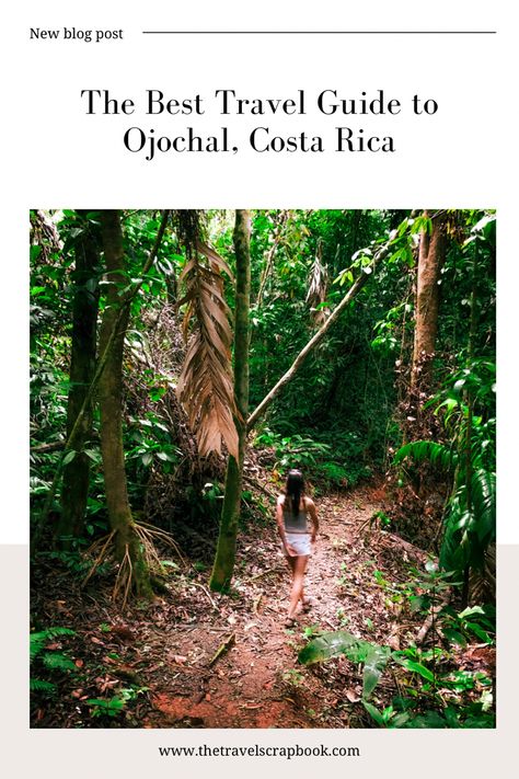 I discovered Ojochal during my 5-day trip to Costa Rica and decided to go back a second time because I wanted to see more of what southern Costa Rica had to offer. Located on the Pacific Coast, Ojochal Costa Rica offers a unique combination of breathtaking natural beauty, stunning beaches, and a laid-back lifestyle that will leave you feeling relaxed and rejuvenated. As a solo female traveler, I found Ojochal to be a safe and welcoming place to explore, with friendly locals, delicious food, an Costa Ric, Rica Rica, Trip To Costa Rica, Night Hiking, Quaint Village, Costa Rica Travel, Secluded Beach, Whale Watching, Travel Scrapbook