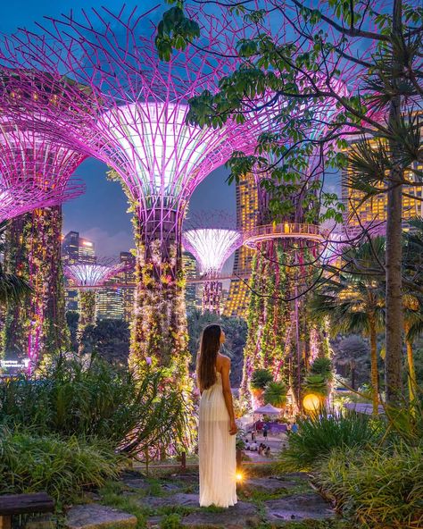 Supertree Grove Singapore, Best Destinations Travel, Singapore Travel Aesthetic, Singapore Aesthetic Outfit, Singapore Instagram Photos, Singapore Instagrammable, Singapore Photo Ideas, Aesthetic Singapore, Singapore Aesthetic