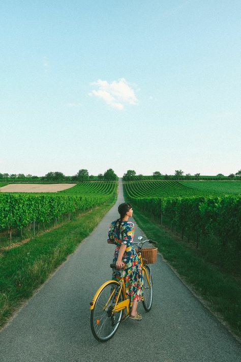 Travel Trailer Interior, Bicycle Photography, Bicycle Travel, Bike Photoshoot, Vintage Travel Trailers, Cycling Art, Vintage Bike, Bike Trips, Sustainable Travel