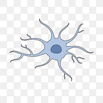 neurology,medicine,nerve,cells,learning,illustration,learning vector Illustration Learning, Learning Illustration, Medicine Illustration, J Words, Nerve Cells, Intervertebral Disc, Nerve Cell, Neurology, Free Vector Graphics