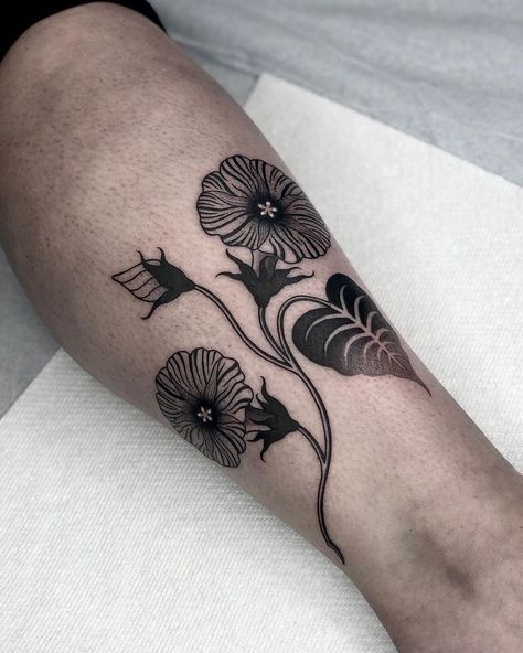 Neotraditional Morning Glory Tattoo, Morning Glory Tattoo Traditional, Flower Tattoos Morning Glory, Traditional Morning Glory Tattoo, Daffodil And Morning Glory Tattoo, Tattoos Morning Glory, Morning Glory And Aster Tattoo, Aster And Morning Glory Flower Tattoo, Morning Glory Tattoo Design