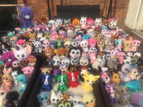 My collection of 200+ Beanie boos 💕 Emoji Beanie Boo, Rare Beanie Boos, Beanie Boo Collection, Ty Beanie Boos, Beanie Boo, Beanie Boos, Build A Bear, Ty Beanie, Baby Cats