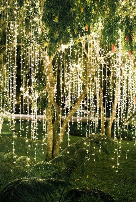 42 Most Pinned Wedding Backdrop Ideas 2019 ❤ wedding backdrop ideas light backdrop vickigraftonphotography #weddingforward #wedding #bride Backyard Wedding Lighting, Lights Hanging, Bistro Lights, Lights Wedding, Garden Wedding Decorations, Wedding Centerpieces Diy, Wedding Winter, Outdoor Wedding Decorations, String Lights Outdoor