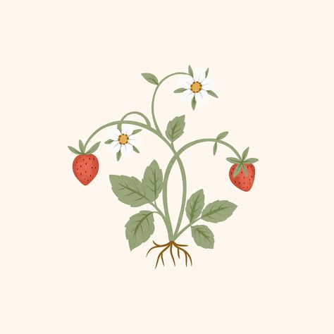 Tiny strawberry illustration 🍓 Still love drawing simple botanical motifs. . . . . . . . #gouacheart #botanicalillustration #womenwhodraw #illustration #freelanceillustrator #surfacedesign #illustrationoftheday #printandpattern #artlicensing #strawberryillustration #surfacepatterndesigncommunity Field Drawing Easy, Field Drawing, Strawberry Illustration, Strawberry Drawing, Strawberry Field, Botanical Motifs, Wild Strawberry, Drawing Simple, Gouache Art