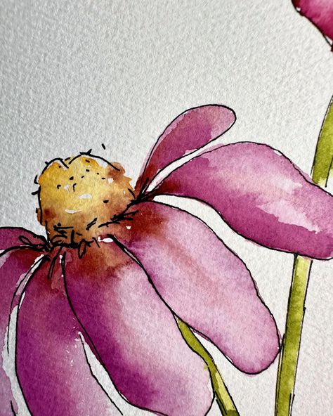 Watercolor coneflowers. I first did the ink sketch then I painted the flowers. #watercolor #watercolorart #watercolorvideo #oklahomaartist #watercolorflowers #watercolorpainting #studio51watercolor #painting #watercolorartist #mijellomissiongold #coneflower #coneflowers #echinacea Watercolor Cone Flowers, Cone Flowers Watercolor, Watercolor Coneflowers, Coneflower Tattoo, Watercolor Video, Dragonfly Art, Watercolor Ideas, Flowers Watercolor, Journal Art