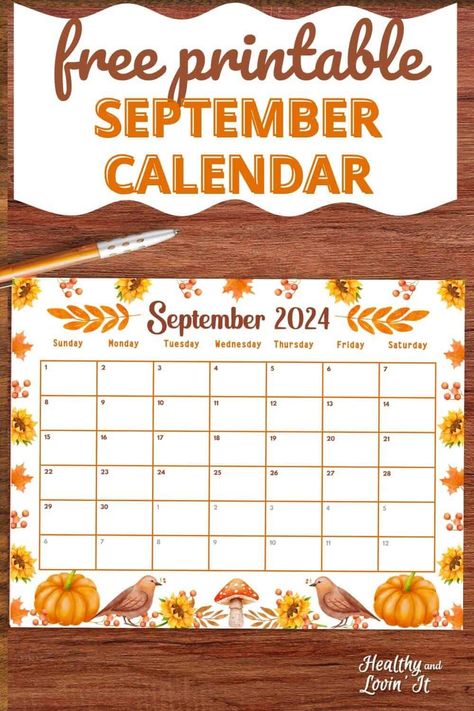 These free monthly calendar printables are for the month of September! The cute fall calendar features pumpkins and sunflowers. This one would be cute for a classroom calendar. There is also a simple blank calendar. The cute calendar template is a free printable PDF. organizational printables Cute Calendar Template, September Calendar Printable, Free Printable Calender, Fall Calendar, Calender Printables, Homeschool Calendar, Free Monthly Calendar, Nature Calendar, Free Calendars