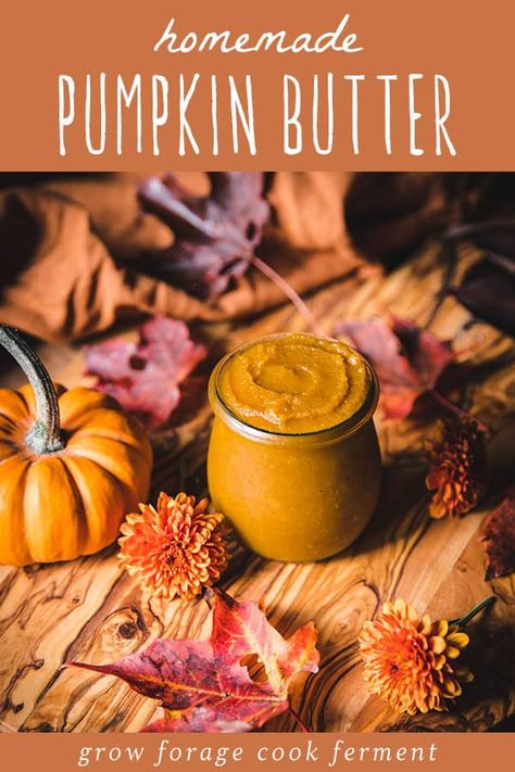 Preserve Pumpkin, Homemade Pumpkin Butter, Fresh Pumpkin Recipes, Seasonal Recipes Fall, Canning Granny, Pumpkin Butter Recipe, Easy Winter Recipes, Winter Squash Recipes, Elderberry Recipes