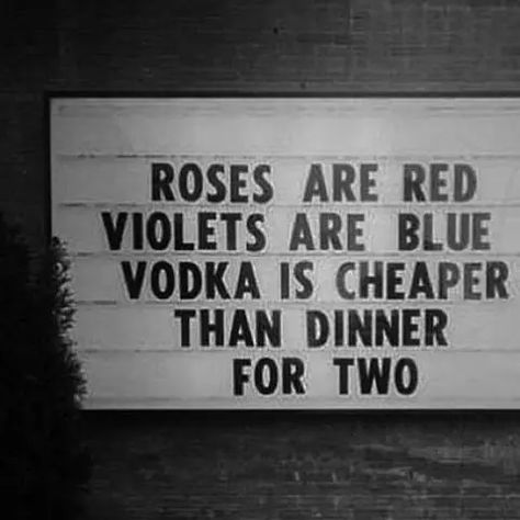 Roses Are Red Memes, Roses Are Red Funny, Roses Are Red Poems, Funny Poems, Valentines Day Funny, Drinking Quotes, Funny Valentines Day Quotes, Roses Are Red, Valentine's Day Quotes