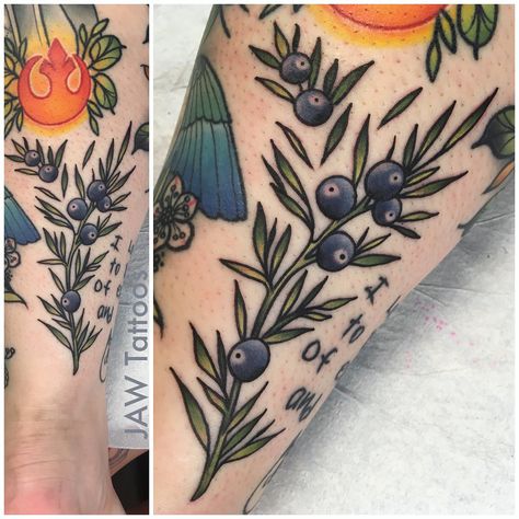 We also got to do this one! A little juniper berry branch for @nickidub79 . . #jawtattoos #jessicaannwhite #juniper #juniperberry… Old Style Tattoos, Whimsical Tattoos, Berry Branch, Knuckle Tattoos, Branch Tattoo, Bouquet Tattoo, Juniper Berries, Plant Tattoo, Female Tattoo Artists