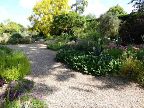 Gravel Garden Design, Pea Gravel Garden, Beth Chatto, Gravel Path, Dry Garden, Gravel Garden, Plant Guide, Gardening 101, Pool Landscaping