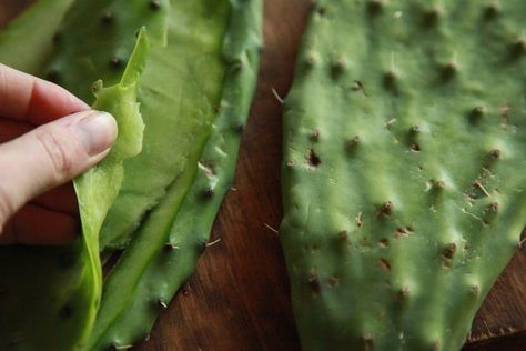 Benefits of Cactus Leaf in the Diet | Livestrong.com Benefits Of Cactus, Cactus Benefits, Cactus Leaves, Ceviche Recipe, Prickly Pear Cactus, How To Eat Better, Healthy Routine, Prickly Pear, Health Problems