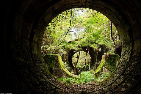 Concrete pipe housings reclaimed by nature. Nature Apocalypse, Nature Takes Back, Nature Reclaiming, Reclaimed By Nature, Lost Garden, Magic Places, Breathtaking Places, Abandoned Mansions, Mother Plant