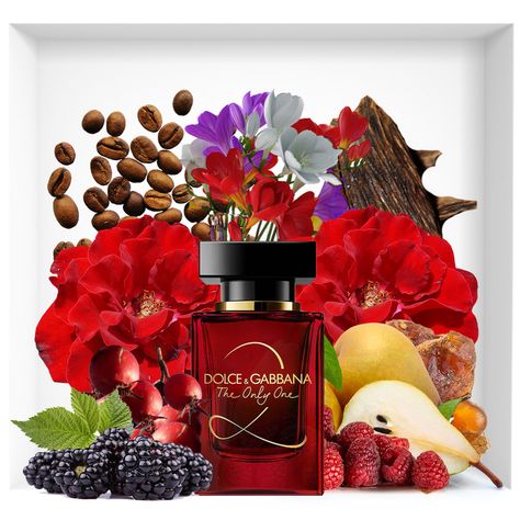 Dolce And Gabbana The Only One, Dolce Gabbana 2020, Dolce And Gabbana Perfume Woman, The Only One Intense Dolce Gabbana, Dolce And Gabbana Garden Perfume, Dolce And Gabbana Only One Perfume, The One Perfume Dolce & Gabbana, Dolce And Gabbana Perfume, Hermes Perfume