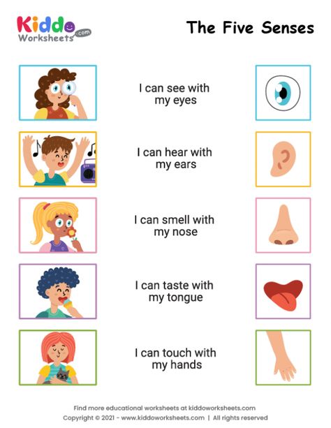 Senses Worksheets For Kids, Fire Safety Preschool Crafts, 5 Senses Worksheet, Five Senses Worksheet, Preschool Worksheets Free Printables, Disiplin Anak, My Five Senses, Worksheet Kindergarten, Kindergarten Phonics Worksheets