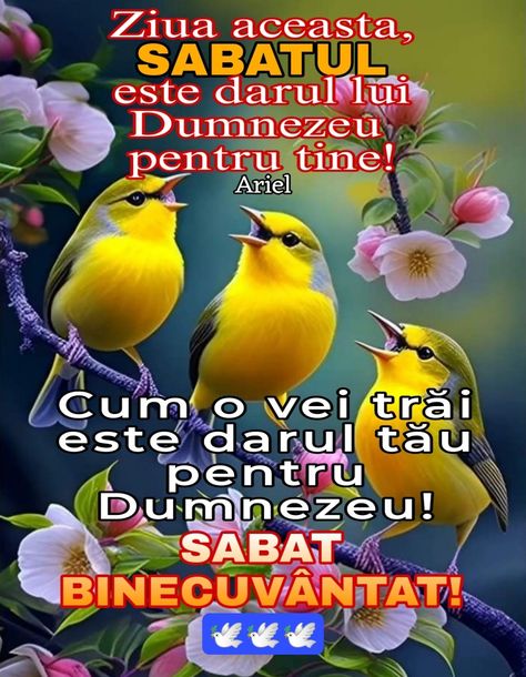 Sabat Fericit