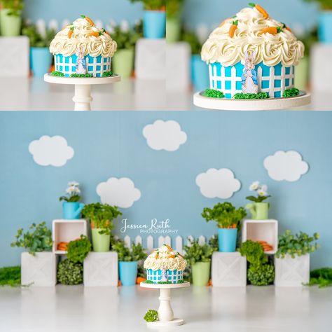 Smash Cake Peter Rabbit, Peter Rabbit Cake Smash, Peter Rabbit Smash Cake, Garden Cake Smash, Carrots Garden, Cake Smash Boy, Peter Rabbit Cake, Carrot Gardening, Bunny Theme