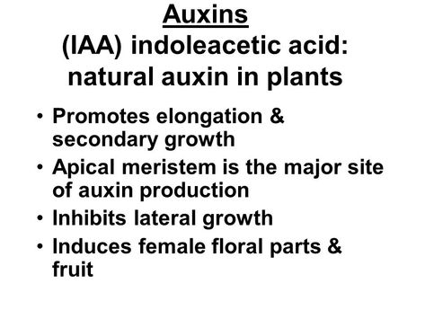 Plant Hormones, Biology Lessons, Plant Science, Botany, Biology, Science, Plants, Quick Saves, Nature