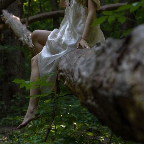 The Blood We Crave, Monty Jay, Tree Aesthetic, Fairy Photoshoot, Wood Nymphs, Lauren Roberts, Fairy Style, Dreamy Photography, Forest Photos