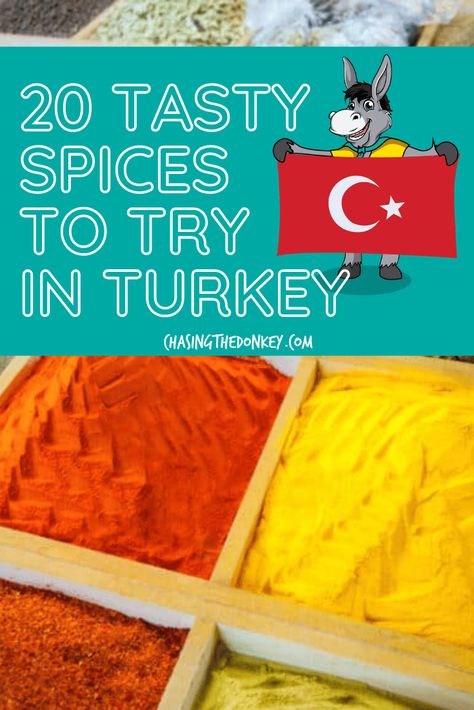 Turkey Travel Blog: From sumac to cumin, we've rounded up the top must-have Turkish spices that will bring a burst of flavor to your home. Here is your guide to the top 20 spices from Turkey to bring home with you. All these Turkish spices can be used in your kitchen. #Turkey #Turkiye #TravelTips #BalkanTravel Spice Guide, Turkish Spices, Turkey Photography, Beautiful Vacation Destinations, Balkans Travel, Best Vacation Spots, East Europe, Croatia Travel, Turkey Travel