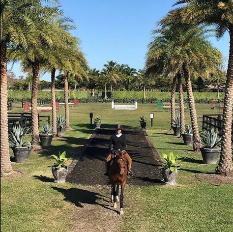 In Wellington, Florida, Roseview Farms is Filled with Charm & Character - STABLE STYLE Wellington Florida Equestrian, Wellington Equestrian, Diff Aesthetics, Large Water Features, Pool Table Felt, Stable Style, Wellington Florida, Potted Palms, Dream Horse Barns