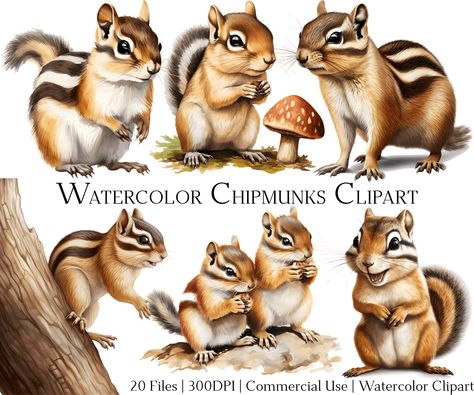 Watercolor Chipmunk, Chipmunk Illustration, Squirrel Clipart, Mouse Illustration, Squirrel Art, Woodland Critters, Landscape Scenery, Chipmunks, Animal Clipart