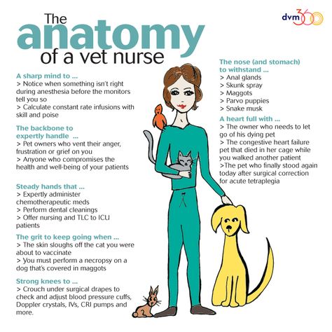 What are veterinary nurses made out of? Sugar and spice and handling lice, and snips and snails, and puppy dog's tails—plus more awesome medical knowledge and insanely compassionate care than the normal human being is capable of.  #VetTechLife Veterinary Technician Quotes, Veterinary Management, Veterinary Medicine Humor, Vet Tech Quotes, Vet Anatomy, Veterinary Technician Week, Animal Biology, Vet Nursing, Veterinary Nursing