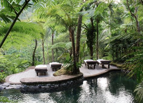 Urban Journey | Best Wellness Retreats in Southeast Asia Como Shambhala Estate, Bali Pool, Como Shambhala, Couples Spa, Garden Escape, Bali Beach, Best Honeymoon Destinations, Wellness Resort, Pool Garden