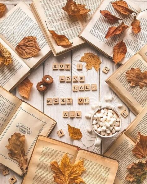 Autumn Flatlay, Fall Mood Board, Autumn Pattern, Love Fall, Fall Inspo, Fall Feels, Autumn Cozy, Autumn Aesthetic, Fall Wallpaper