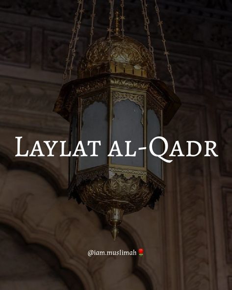 Shabe Qadar Mubarak, Shabe Qadar, Laylatul Qadr, Boy Silhouette, December Wallpaper, Desktop Windows, Ramadan Quotes, Allah Love, Beautiful Quotes About Allah