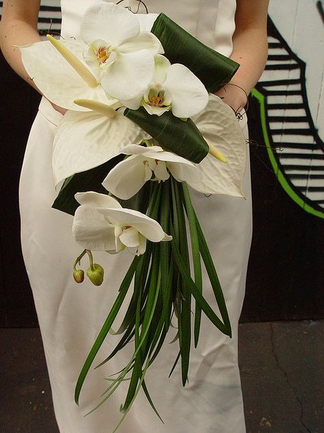 Ti, Anthurium, lily grass فن النسيج, Orchid Bouquet Wedding, Tropical Wedding Bouquets, Holding A Bouquet, Orchid Bouquet, Orchid Wedding, White Bridal Bouquet, Cascade Bouquet, Wedding Leaves