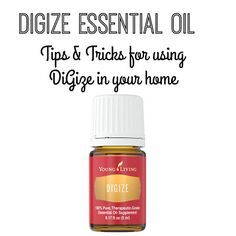 Digize Essential Oil Young Living, Young Living Digize, Digize Essential Oil, Young Living Recipes, Young Living Thieves, Thieves Essential Oil, Yl Essential Oils, Living Essentials Oils, Living Essentials