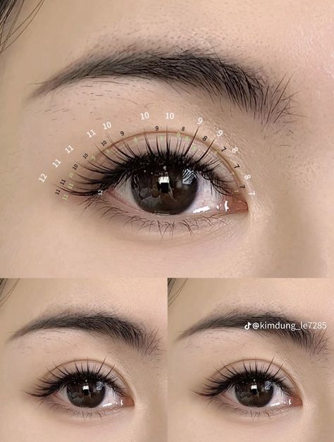 Lash Mapping Asian Eyes, Asian Eyelash Extensions Mapping, Lash Map Asian Eyes, Eyelashes Mapping, Eyelash Mapping, Anime Lashes, Lash Map, Lash Mapping, Overnight Beauty