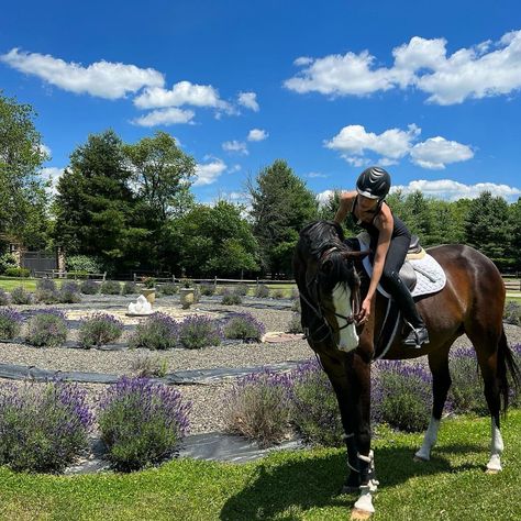 Horse Girl Aesthetic, Bela Hadid, Hadid Instagram, Equestrian Aesthetic, Farm Clothes, Gorgeous Flowers, Horse Crazy, Equestrian Life, Matching Leggings