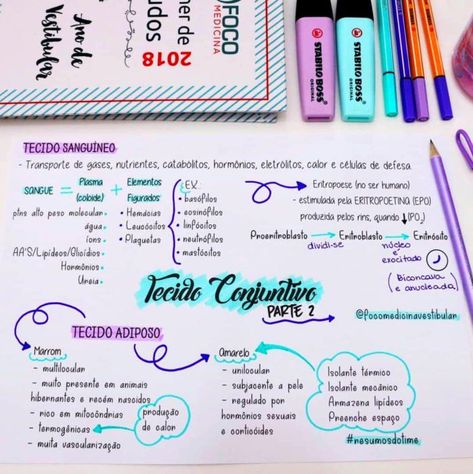 خريطة ذهنية, Mind Map Design, Mental Map, Bullet Journal Notes, School Organization Notes, Study Organization, Pretty Notes, Notes Inspiration, Bullet Journal School