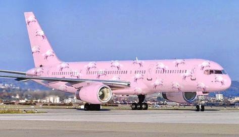 Plane Color, Pink Airplane, Plane Wallpaper, Plane Photos, Mobile Beauty, Dream Mansion, Pink Cadillac, Flowers Love, Private Plane