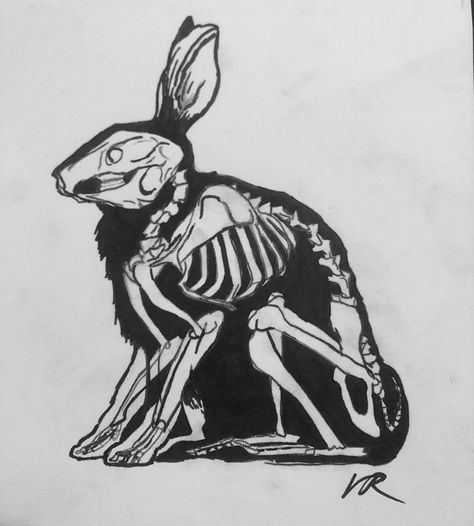 Xray neotraditional bunny skeleton drawing sharpie art Bunny Skeleton, Rabbit Anatomy, Drawing Sharpie, Skeleton Drawing, Animal Taxidermy, Cat Skeleton, Skeleton Drawings, Rabbit Drawing, Bunny Tattoos